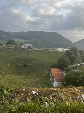 Casas y prados verdes entre montañas bajo un cielo nublado